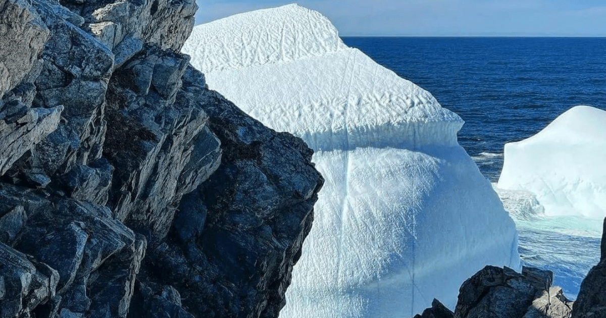 Impressive Iceberg at Twillingate Shore, Iceberg Capital of the World