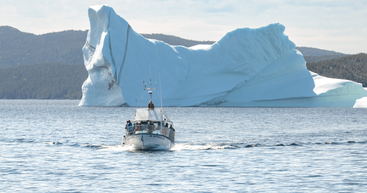 Impressive Iceberg Encounter: Boat Tour sailing near Twillingate, Iceberg Capital of the World