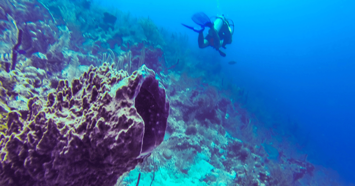 Egyptian solo female traveler Marwa enjoying scuba diving in Belize
