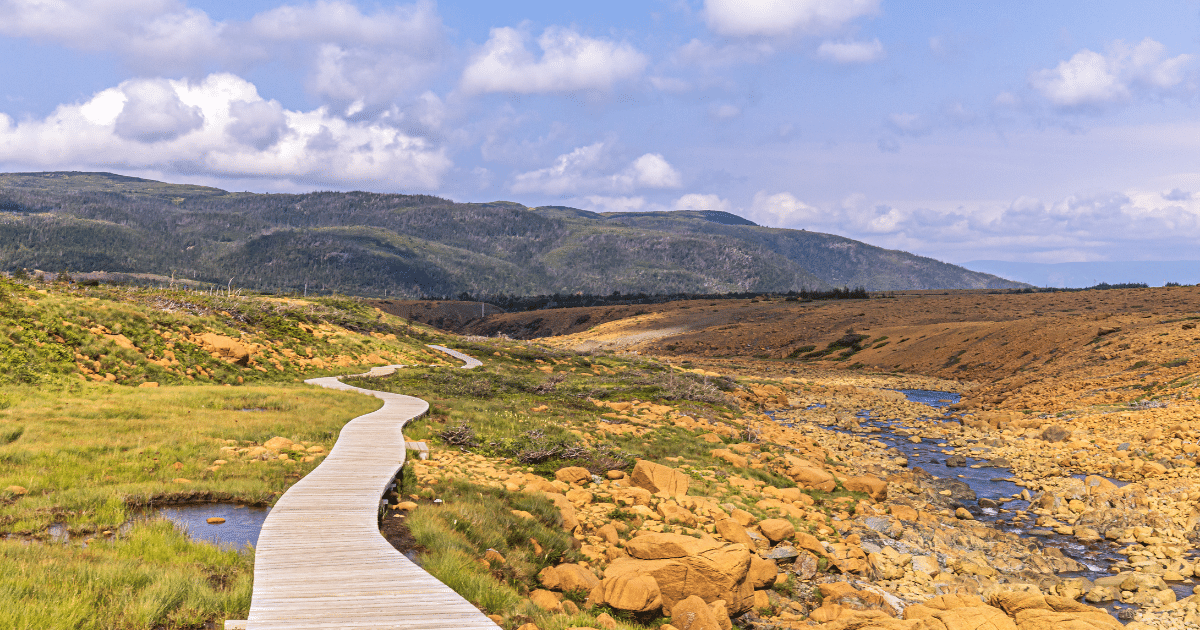 Boardwalk on Tablelands Trail, Gros Morne National Park, Newfoundland